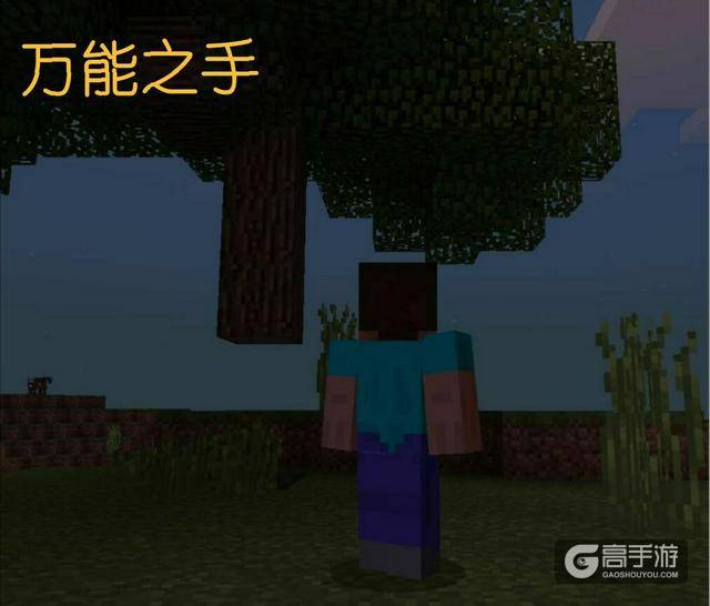 《我的世界》中最强大的六只手,一只无人见过,一只毁灭世界