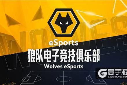 电竞狼群出没注意！狼队电竞俱乐部正式在中国成立