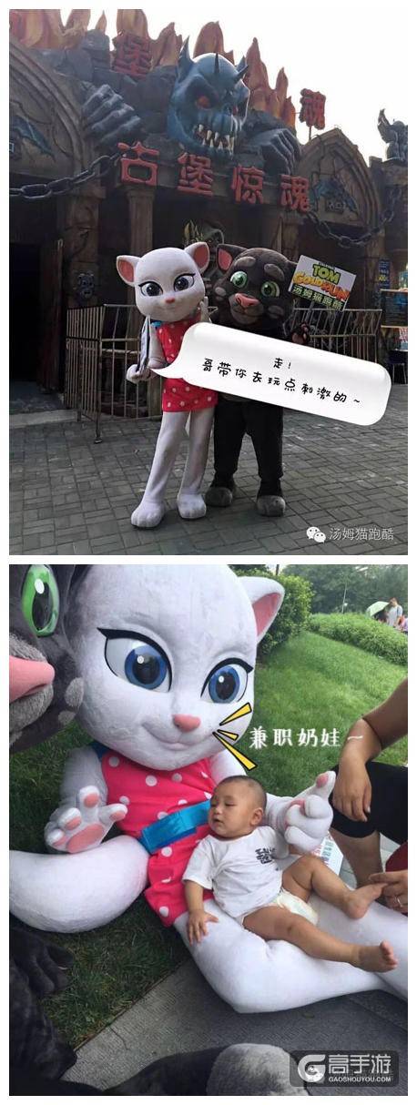 活体汤姆猫和安吉拉 惊现北京大街小巷
