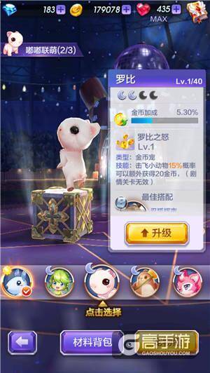 天天酷跑3D忍狐辉夜宠物搭配攻略