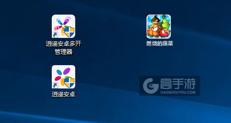燃烧的蔬菜多开管理器ICON