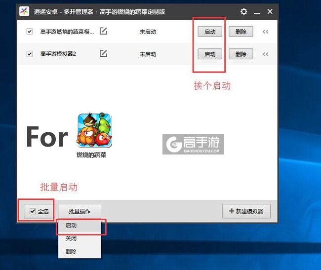 启动燃烧的蔬菜模拟器