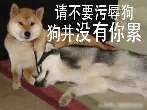 王者荣耀线下聚会 王者嗨氏带女大学生开黑