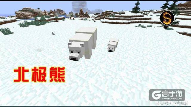 《我的世界》新手想玩雪不停重建地图，却不懂地图种子是什么