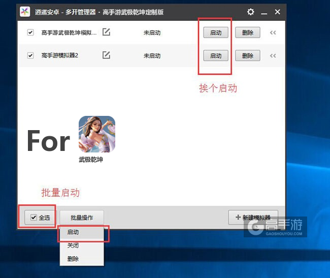 启动武极乾坤模拟器