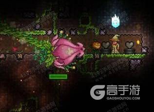 泰拉瑞亚世纪之花 泰拉瑞亚世纪之花怎么打？