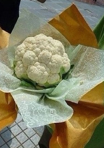 《去吧海贼王》 情人节的那些事
