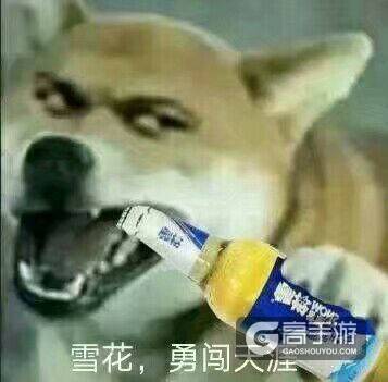 我怀念2011年时候的《推理学院》，再见了葫芦哥和贞子姐