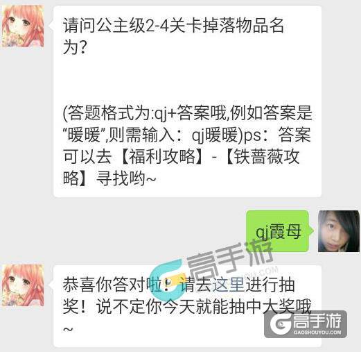 请问公主级2-4关卡掉落物品名为？