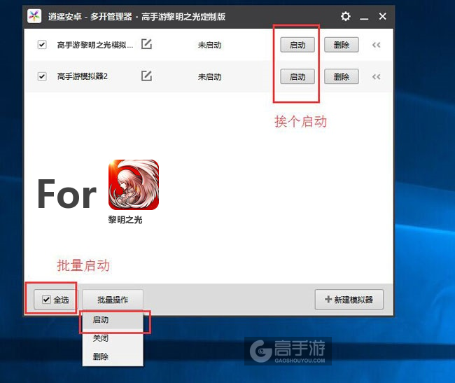 启动黎明之光模拟器