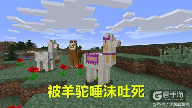 盘点《我的世界》那些奇葩死法，被炸死算什么，我还被猪拱死过