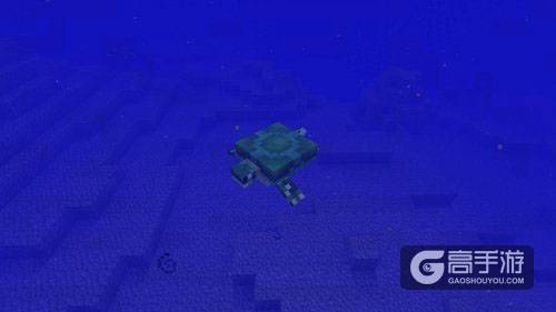 MC新生物添加确定 我的世界海龟将加入