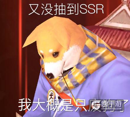 彼岸花的又一个克星？阴阳师新版犬神培养攻略