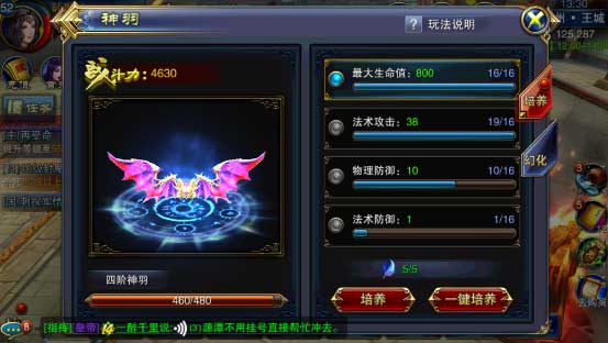 六龙争霸3D神羽培养玩法解析