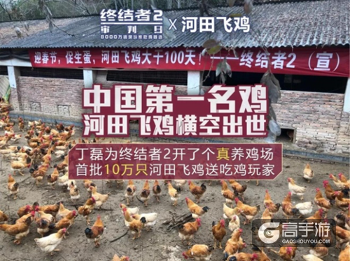 十万飞鸡赠送吃鸡玩家！网易为吃鸡手游开设养鸡场