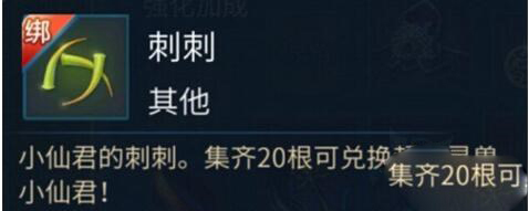 《倩女幽魂》手游情缘任务怎么完成 情缘任务攻略