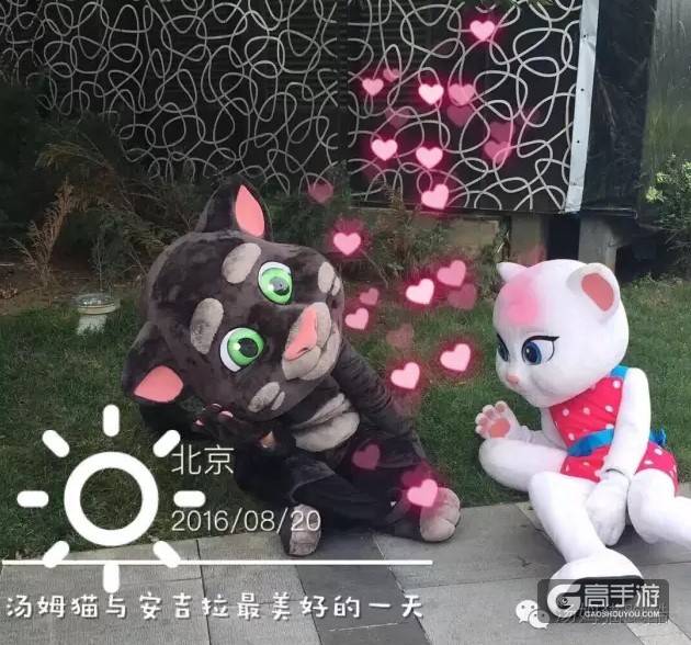 活体汤姆猫和安吉拉 惊现北京大街小巷