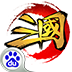 这才是三国icon