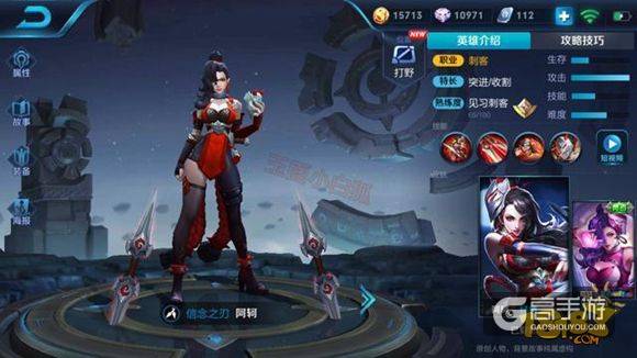 王者荣耀阿轲新皮肤