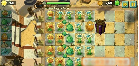 植物大战僵尸2埃及之旅第六天攻略 详细图文攻略