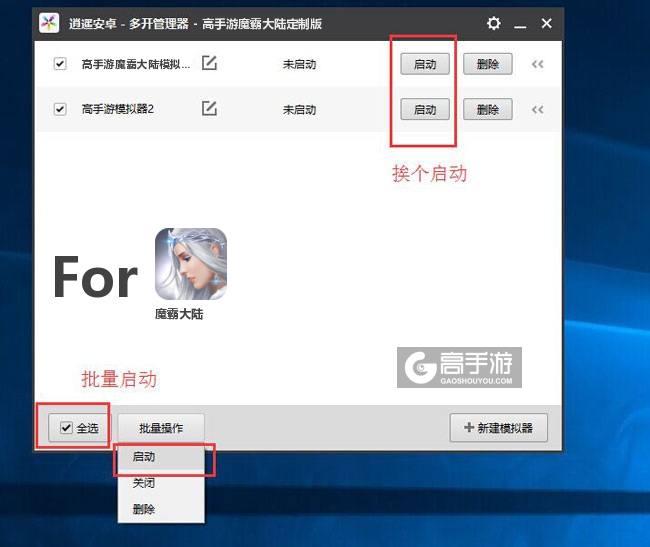 启动魔霸大陆模拟器