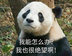《灵剑劫》全新竞技玩法曝光：龙魂斗法大乱斗