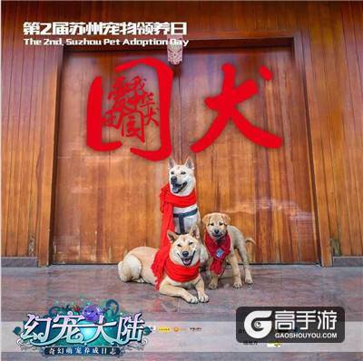 现世寻缘为它发声《幻宠大陆》助力9.9公益领养日