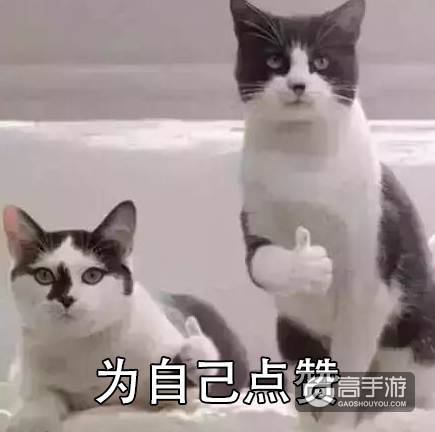 我怀念2011年时候的《推理学院》，再见了葫芦哥和贞子姐