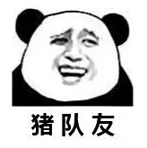 有一个“猪一样的队友”是怎样的体验?