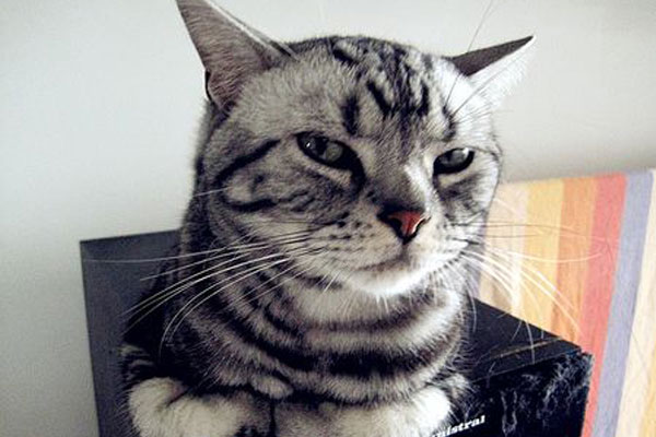 《去吧，海贼王》脱口秀：看图猜地名