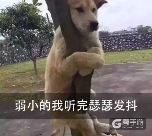 我怀念2011年时候的《推理学院》，再见了葫芦哥和贞子姐