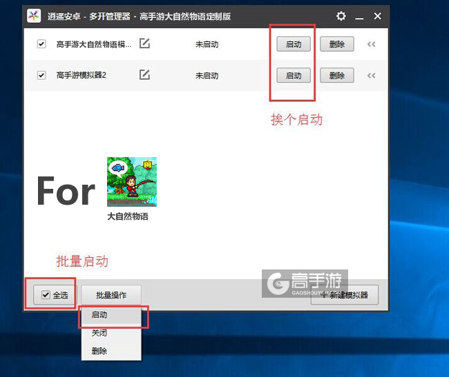 启动大自然物语模拟器