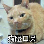 我怀念2011年时候的《推理学院》，再见了葫芦哥和贞子姐