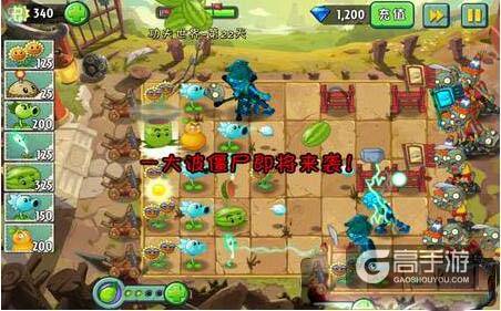 植物大战僵尸2功夫世界第22通关攻略