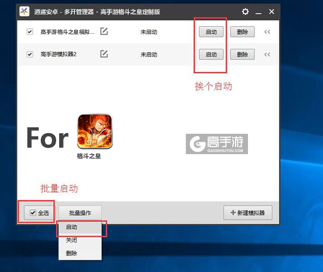 启动格斗之皇模拟器