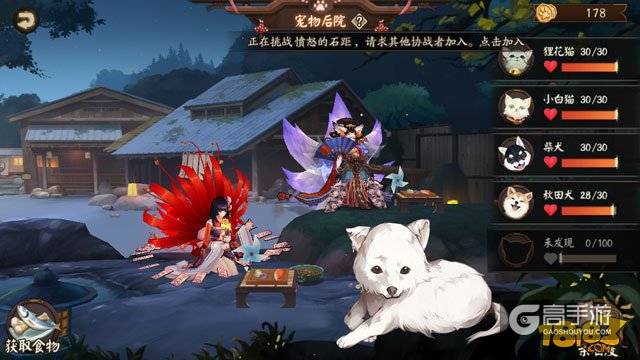 阴阳师庭院第五只宠物线索 这是只银狐犬