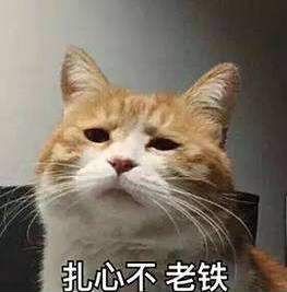 初夏的邂逅，来《姬魔恋战纪》约会各路女神