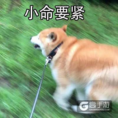 我怀念2011年时候的《推理学院》，再见了葫芦哥和贞子姐