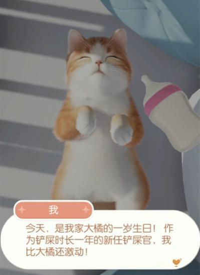 超喵星计划给猫送怎么礼物
