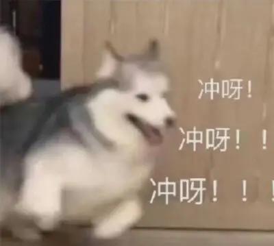 《使命召唤手游》冲鸭~向战神冲刺，顺手带走稀有级HVK30！