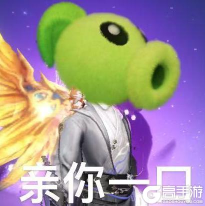《倩女幽魂》全服梦岛热议 连升龙套也青睐TA？这豆可太棒了