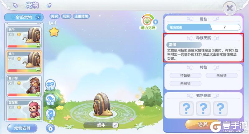 冒险者指南 | 宠物速递：技能全面培养，打造你的专属宠物！