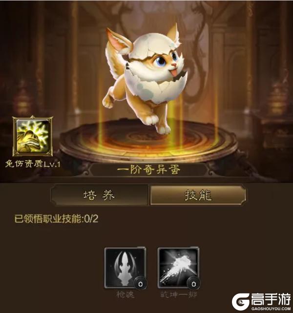 《王者征途》既能抗又能打 还附带控制技能 全面的进阶枪客