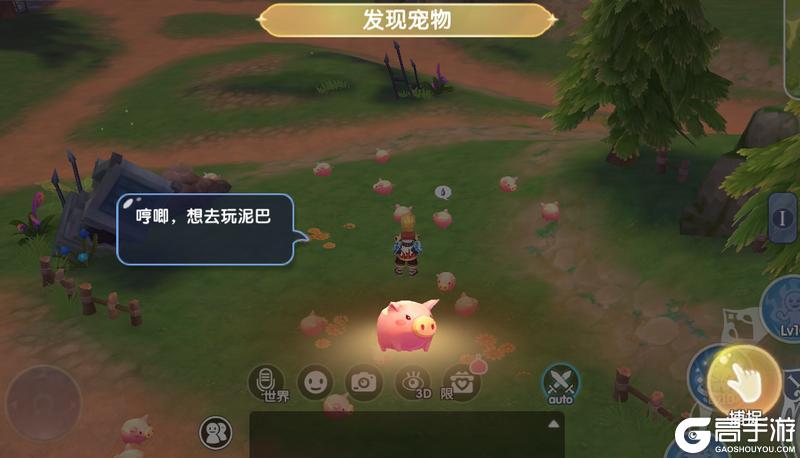 《仙境传说：新启航》宠物速递：怎么抓？抓哪只？抓宠全解析！