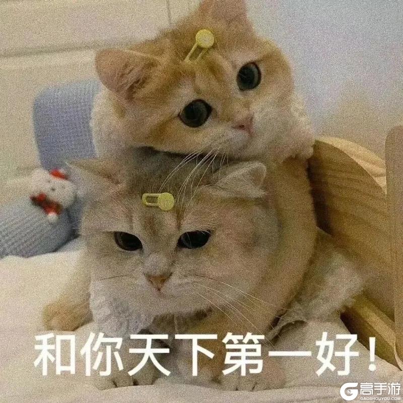 【新区公告】天启-象牙塔之光(安卓IOS混服)来袭!