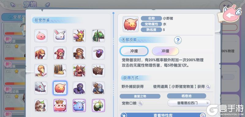 《仙境传说：新启航》宠物速递：怎么抓？抓哪只？抓宠全解析！