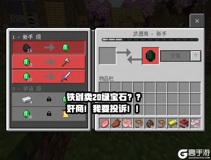 《我的世界》能把摄像头关掉吗？