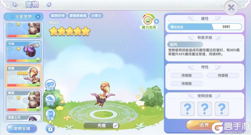 《仙境传说：新启航》宠物速递：升星、升级、特性选择指南