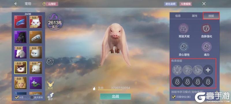 【萌新攻略】大荒探险第三期，战力初步提升，更多内容可以玩啦！