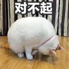 《失落城堡2》手游1月9日首测定档！宝藏猎人集结！